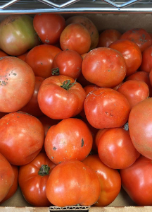 tomatoes